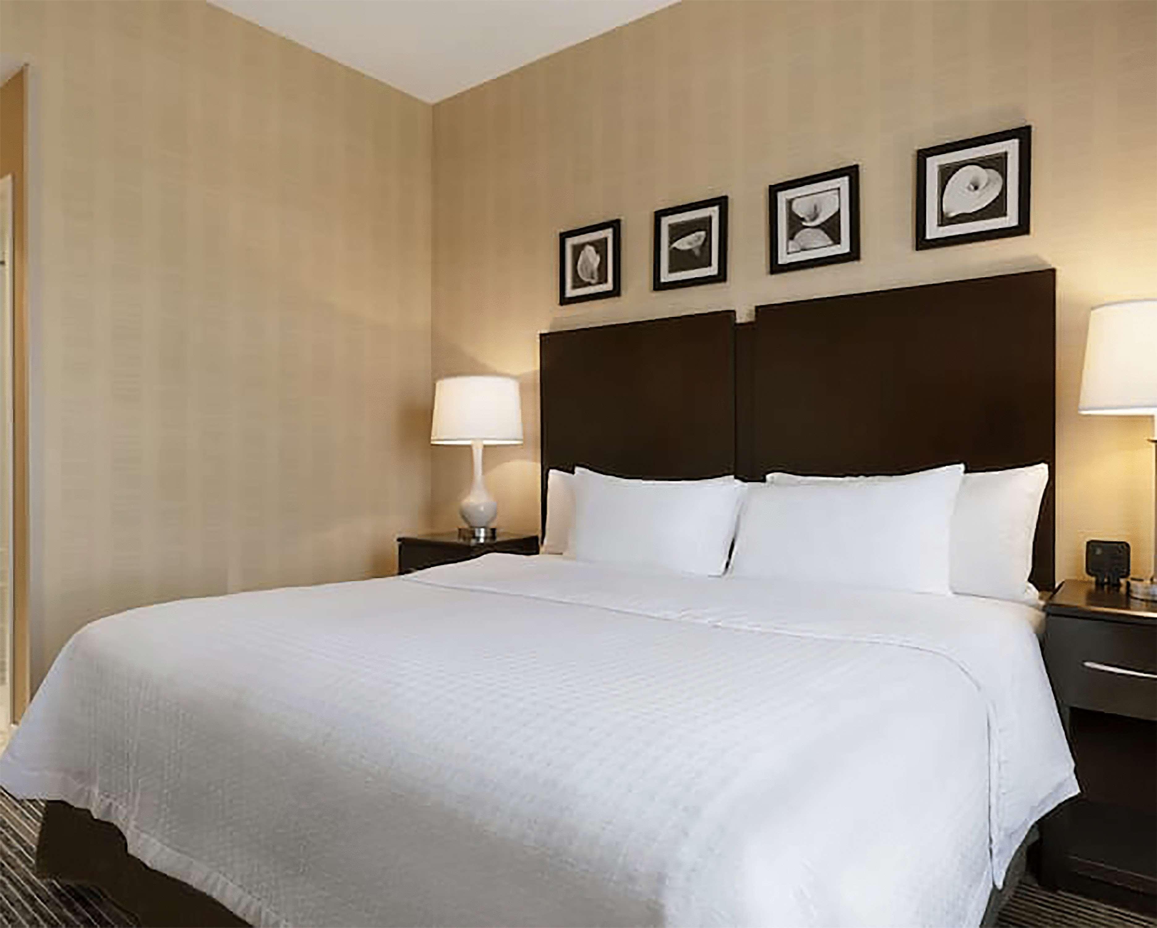 Homewood Suites By Hilton Newtown - Langhorne, Pa Ngoại thất bức ảnh
